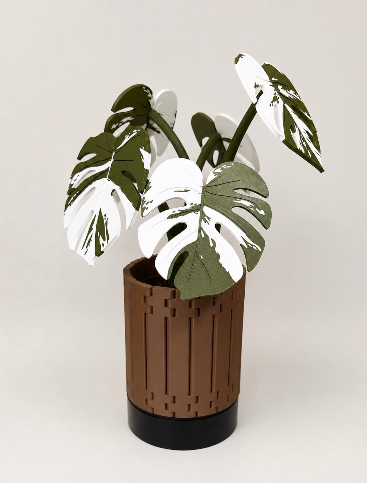 Monstera Coaster Set