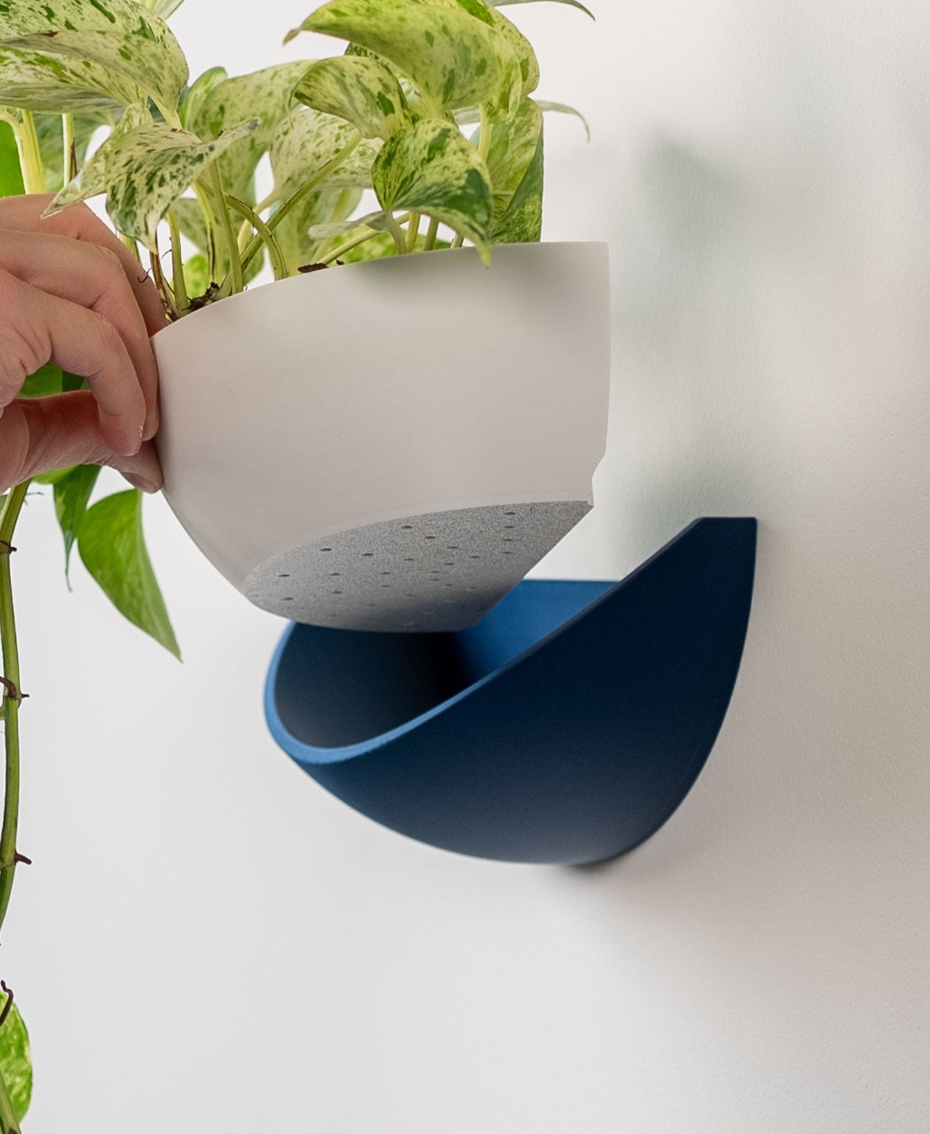 Half Dome Wall Planter with Removable Pot