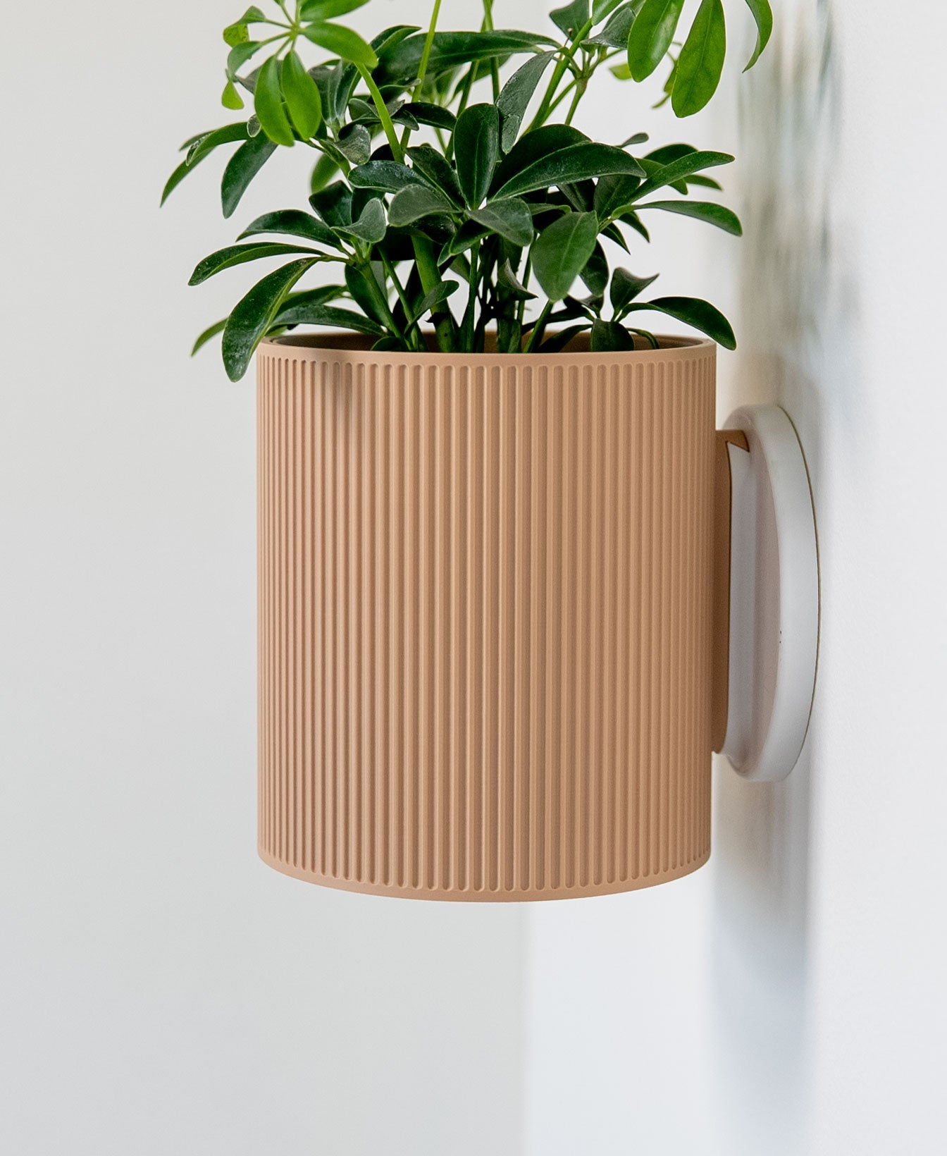 Wall Mounted Planter with Removable Drip Tray | Modern Floating Plant Pot