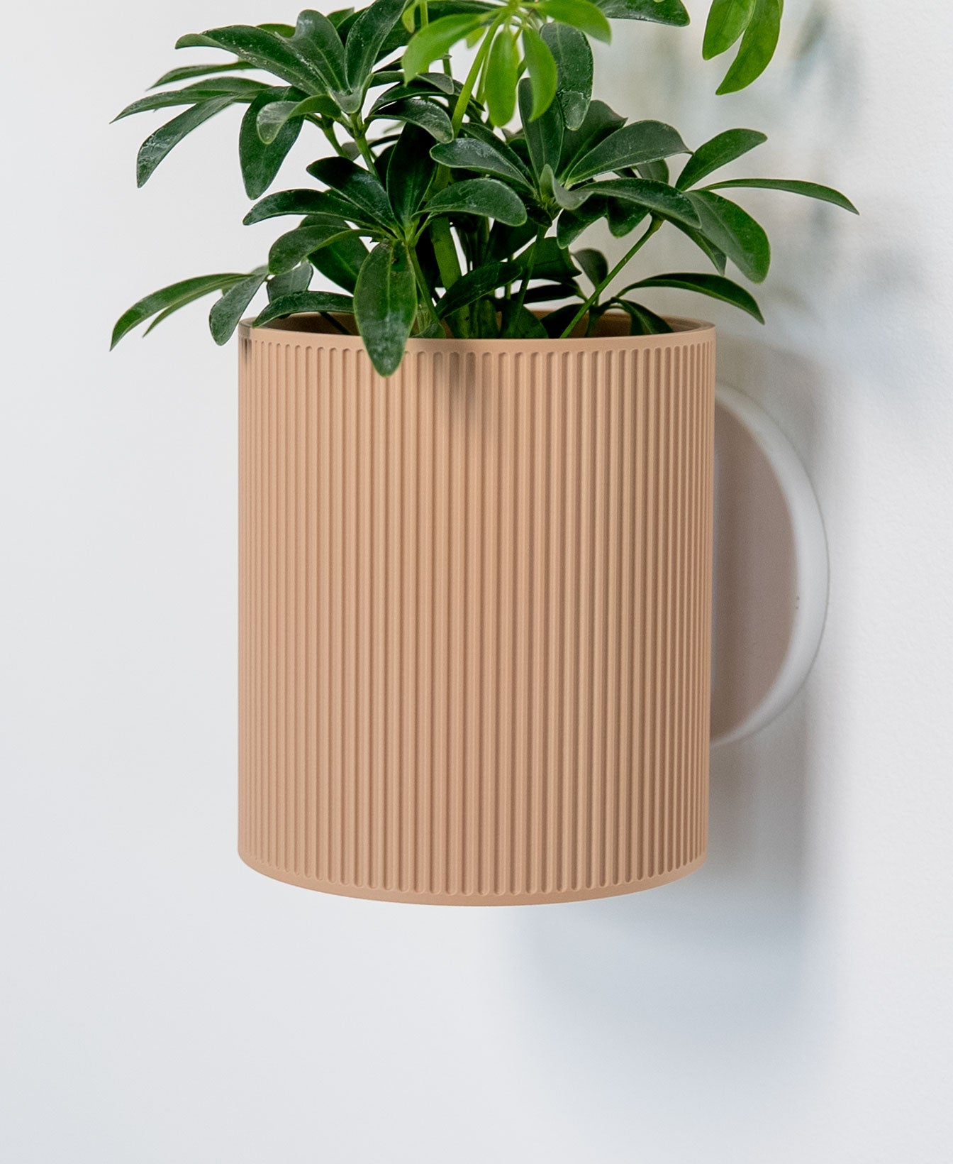 Wall Mounted Planter with Removable Drip Tray | Modern Floating Plant Pot